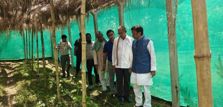 उप मुख्यमंत्री ने किया प्राकृतिक खेती का निरीक्षण