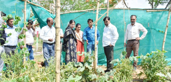 कलेक्टर ने बसामन मामा गौवंश वन्य विहार का किया भ्रमण