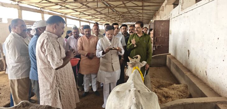 उप मुख्यमंत्री ने सुरभि एवं गोपाला गौशेड का किया लोकार्पण