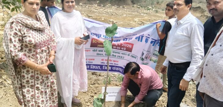 ग्राम पंचायत तिघरा में किया गया पौधारोपण
