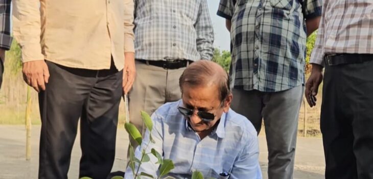 एमसीयू परिसर में पर्यावरण दिवस पर रोपे गये पौधे, छात्रों ने लिया ‘हरित संकल्प’