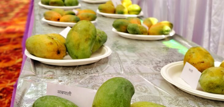 उद्यानिकी कार्यशाला और आम महोत्सव का हुआ शुभारंभ