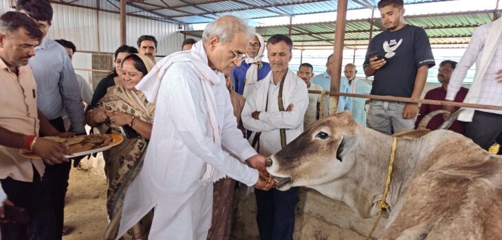 सांसद एवं कलेक्टर ने रकरी गौशाला का किया निरीक्षण