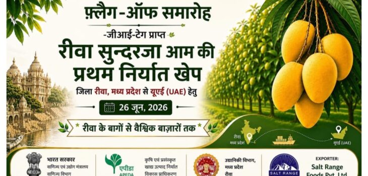 रीवा के सुंदरजा आम की वैश्विक उड़ान: राष्ट्रीय समाचार से अंतरराष्ट्रीय पहचान तक