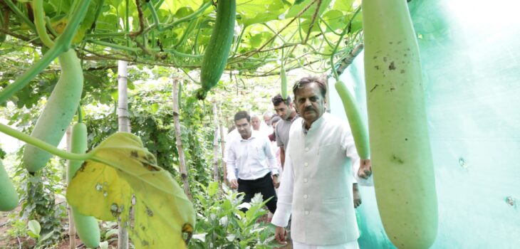 उप मुख्यमंत्री ने की बसामन मामा गौवंश वन्य विहार के विकास कार्यों की समीक्षा