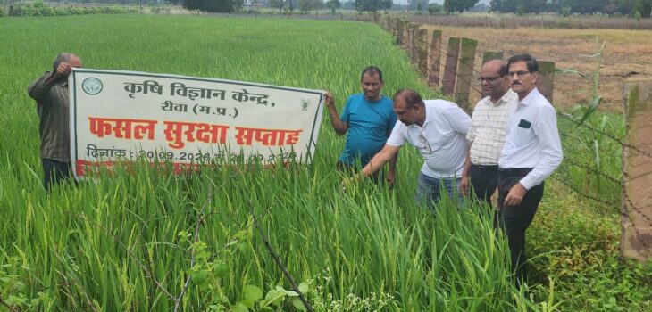 फसल सुरक्षा सप्ताह में अधिकारियों ने किया धान की फसल का निरीक्षण
